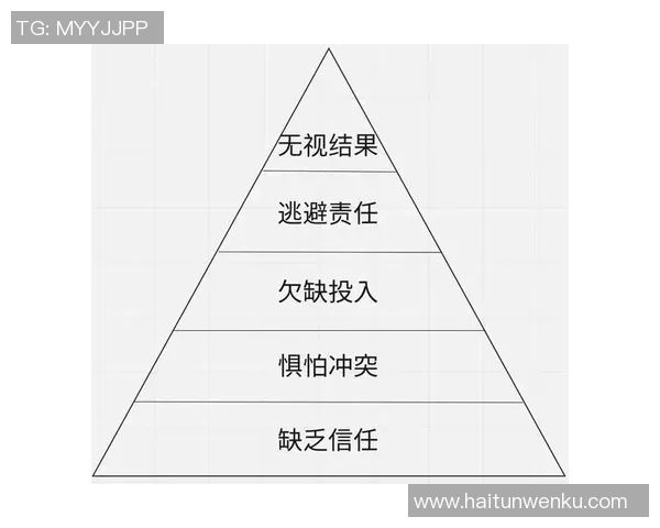 深圳排球队配合变革引发热议探索新战术与团队协作的未来发展